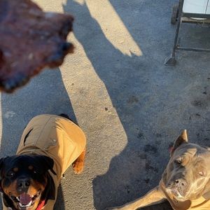 Meet your Posher, Israel